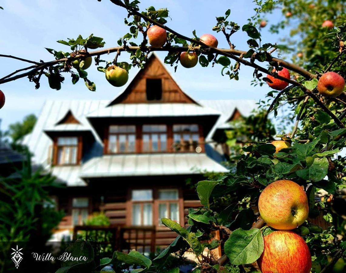 Willa Blanca Zakopane Bed and Breakfast Exterior foto